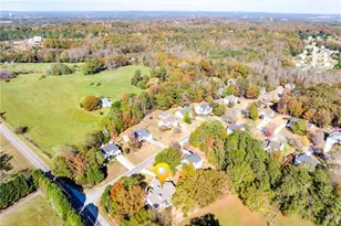 1151 Emperor Ln, Hoschton, GA 30548 - Photo 39