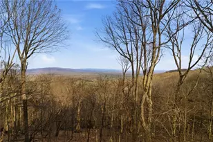 424 Sanderlin Mountain Dr, Big Canoe, GA 30143 - Photo 7