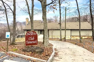 353 Tamarack Dr, Jasper, GA 30143 - Photo 55