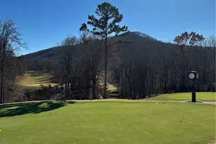 353 Tamarack Dr, Jasper, GA 30143 - Photo 5