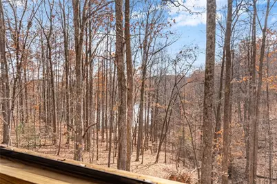 315 N Lake Drive, Sautee Nacoochee, GA 30571 - Photo 19