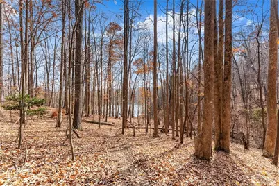 315 N Lake Drive, Sautee Nacoochee, GA 30571 - Photo 53