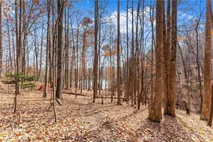 315 N Lake Dr, Sautee Nacoochee, GA 30571 - Photo 53