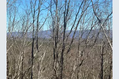 171 Hawthorne Hill Road, Jasper, GA 30143 - Photo 51