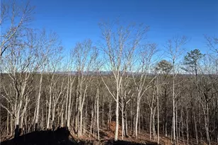 171 Hawthorne Hill Rd, Jasper, GA 30143 - Photo 11