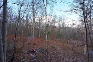 254 Mountain Woods Rd, Blairsville, GA 30512 - Photo 43