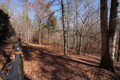 365 Avery Drive, Talking Rock, GA 30175 - Photo 41