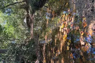 1120 Russell Dr, Griffin, GA 30224 - Photo 33