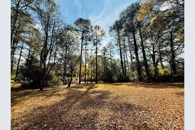 318 W Bonnell Street, Oxford, GA 30054 - Photo 41