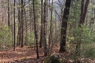 0 Evergreen Ln, Sky Valley, GA 30537 - Photo 5