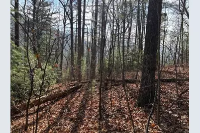 0 Evergreen Lane, Sky Valley, GA 30537 - Photo 9