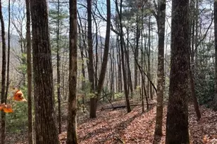 0 Evergreen Ln, Sky Valley, GA 30537 - Photo 7