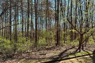 4310 Loveless Pl, Ellenwood, GA 30294 - Photo 1