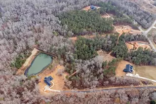 1360 Morgan Rd, Bremen, GA 30110 - Photo 53