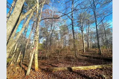 3339 Cherokee Court, Villa Rica, GA 30180 - Photo 9