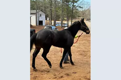 6600 Cascade-Palmetto Highway, Fairburn, GA 30213 - Photo 7