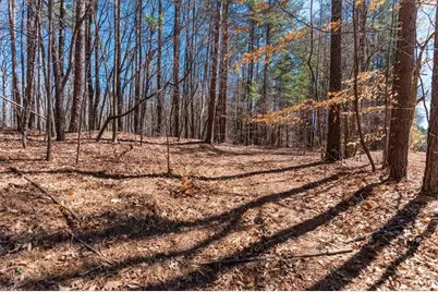 00 Snote Jones Road, Dallas, GA 30132 - Photo 13