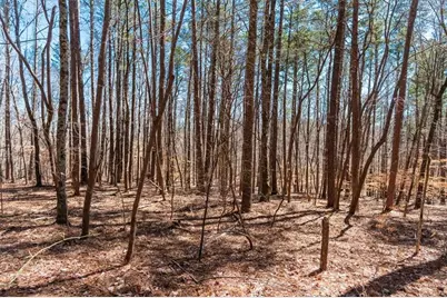 00 Snote Jones Road, Dallas, GA 30132 - Photo 21