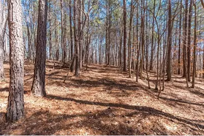 00 Snote Jones Road, Dallas, GA 30132 - Photo 17
