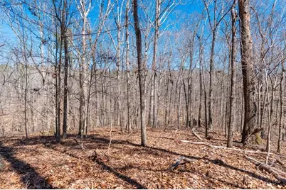 00 Snote Jones Road, Dallas, GA 30132 - Photo 19