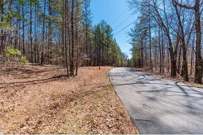 00 Snote Jones Road, Dallas, GA 30132 - Photo 11