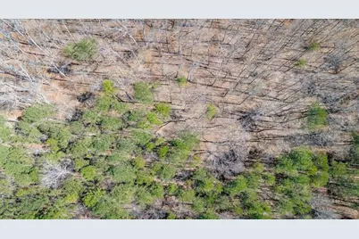 00 Snote Jones Road, Dallas, GA 30132 - Photo 9