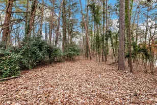 5955 Truman Mountain Rd, Gainesville, GA 30506 - Photo 37