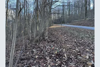 281 Andes Ridge, Ellijay, GA 30536 - Photo 23