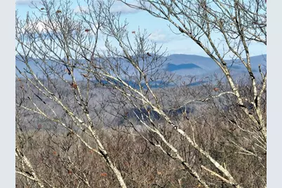 281 Andes Ridge, Ellijay, GA 30536 - Photo 7