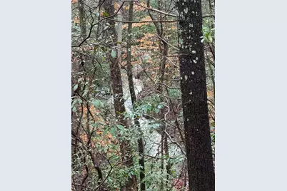 458 Tea Berry Lane, Big Canoe, GA 30143 - Photo 33