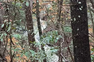 458 Tea Berry Ln, Big Canoe, GA 30143 - Photo 33