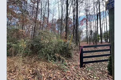 0 Hamby Road, Acworth, GA 30102 - Photo 3