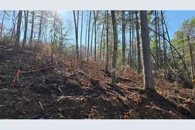 0 Dell Moore Road, Marble Hill, GA 30148 - Photo 5