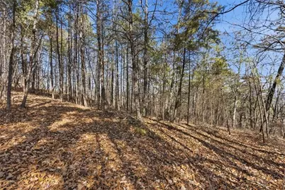 1166 Hunter Drive, Ranger, GA 30734 - Photo 9