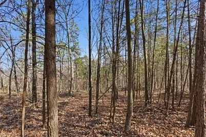 1166 Hunter Drive, Ranger, GA 30734 - Photo 13