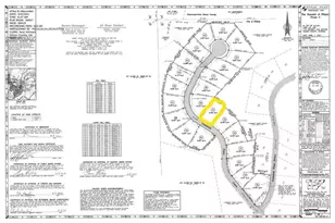 190 Smt Vw Ln, Ellijay, GA 30540 - Photo 41