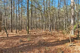 92 Vaughn Spur NE, Cartersville, GA 30121 - Photo 19