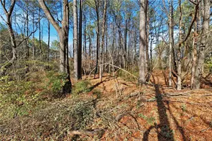 92 Vaughn Spur NE, Cartersville, GA 30121 - Photo 17