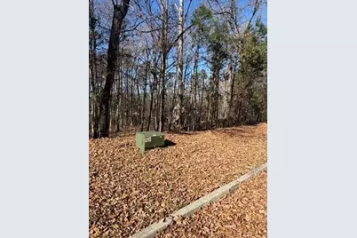 120 Oak Terrace, Fayetteville, GA 30214 - Photo 3