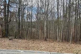 248 Pioneer Trail, Dallas, GA 30132 - Photo 1