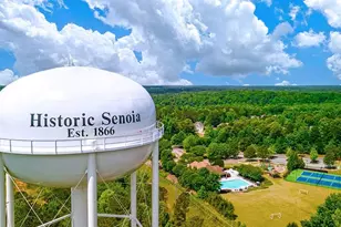 340 Staffin Dr, Senoia, GA 30276 - Photo 21