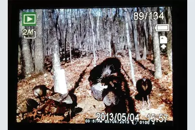 1252 Paris Mountain Road, Rockmart, GA 30153 - Photo 91