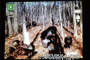 1252 Paris Mountain Rd, Rockmart, GA 30153 - Photo 91