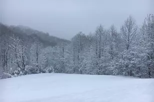 1252 Paris Mountain Rd, Rockmart, GA 30153 - Photo 77