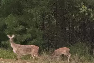 1252 Paris Mountain Rd, Rockmart, GA 30153 - Photo 91