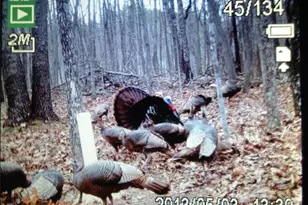 1252 Paris Mountain Rd, Rockmart, GA 30153 - Photo 93