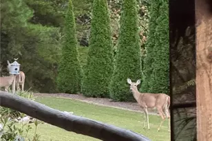 1252 Paris Mountain Rd, Rockmart, GA 30153 - Photo 89