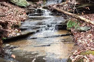 1252 Paris Mountain Rd, Rockmart, GA 30153 - Photo 79