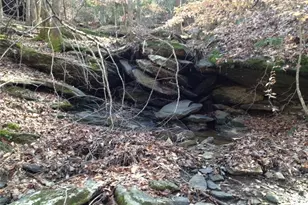 1252 Paris Mountain Rd, Rockmart, GA 30153 - Photo 89