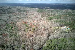 1252 Paris Mountain Rd, Rockmart, GA 30153 - Photo 3